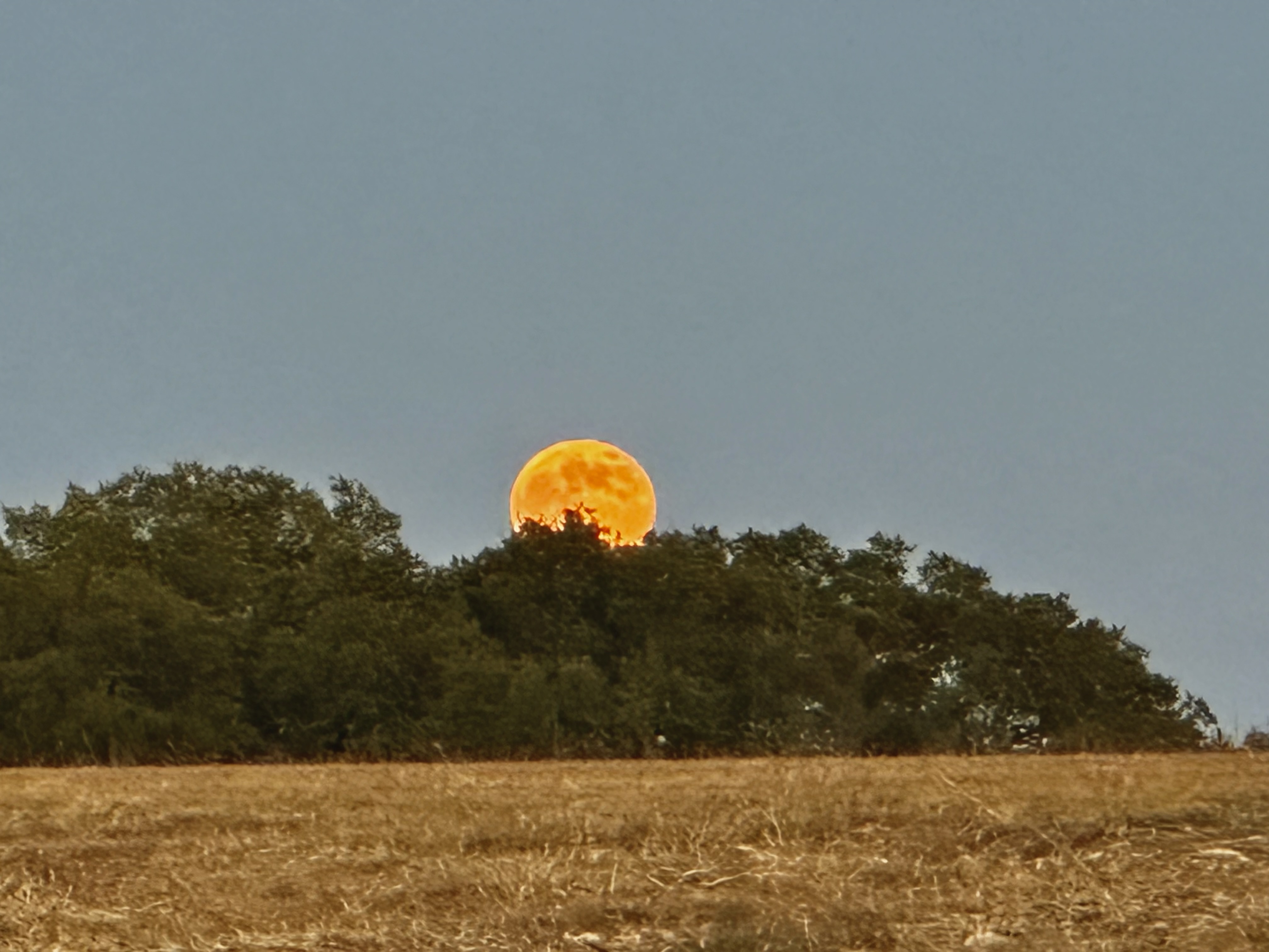 natural satellite