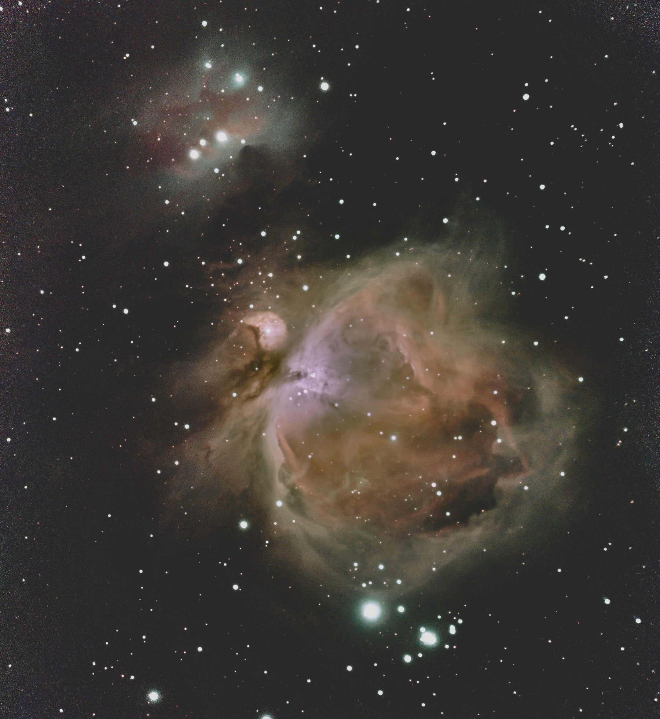 Orion Nebula