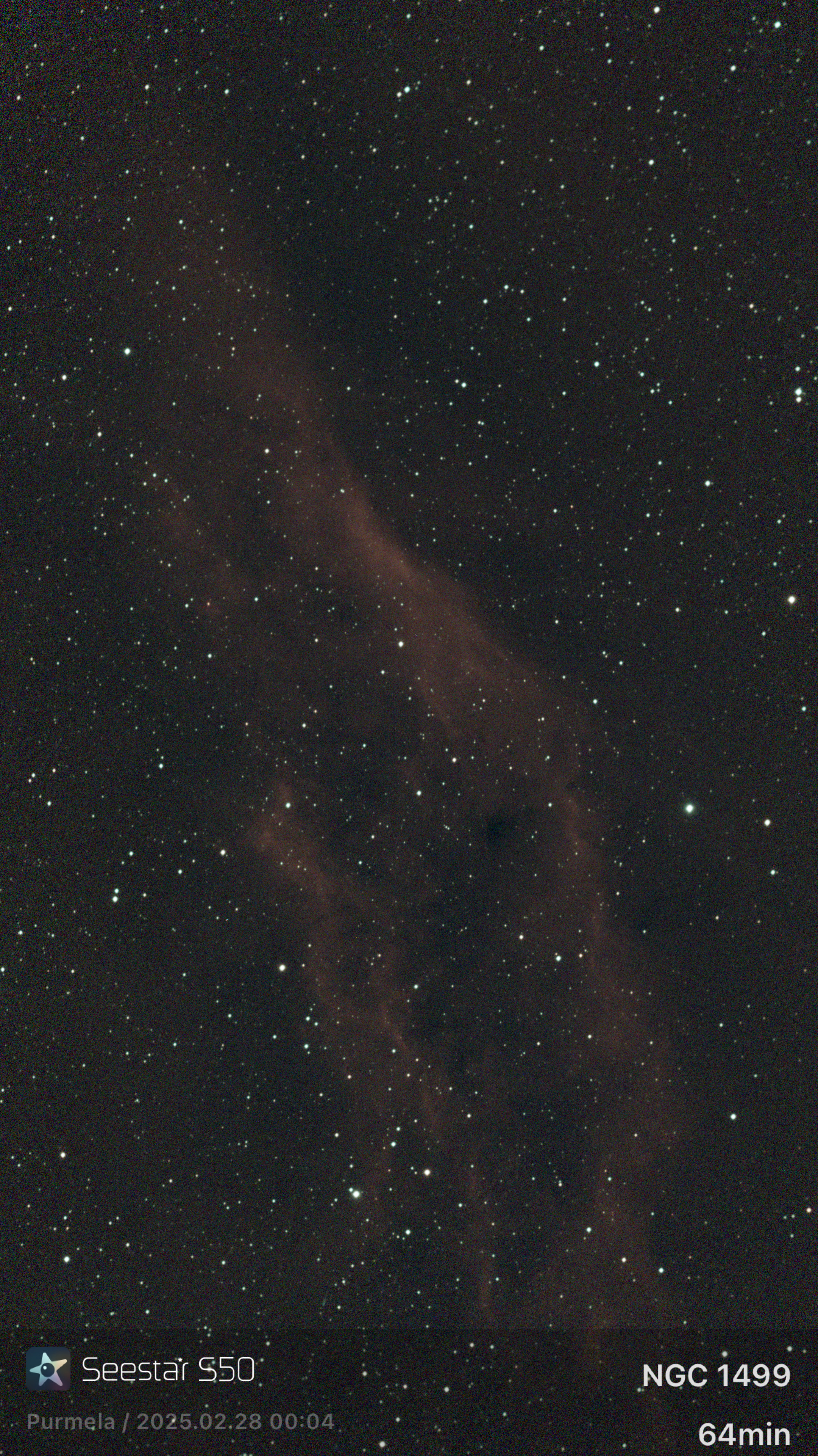California Nebula