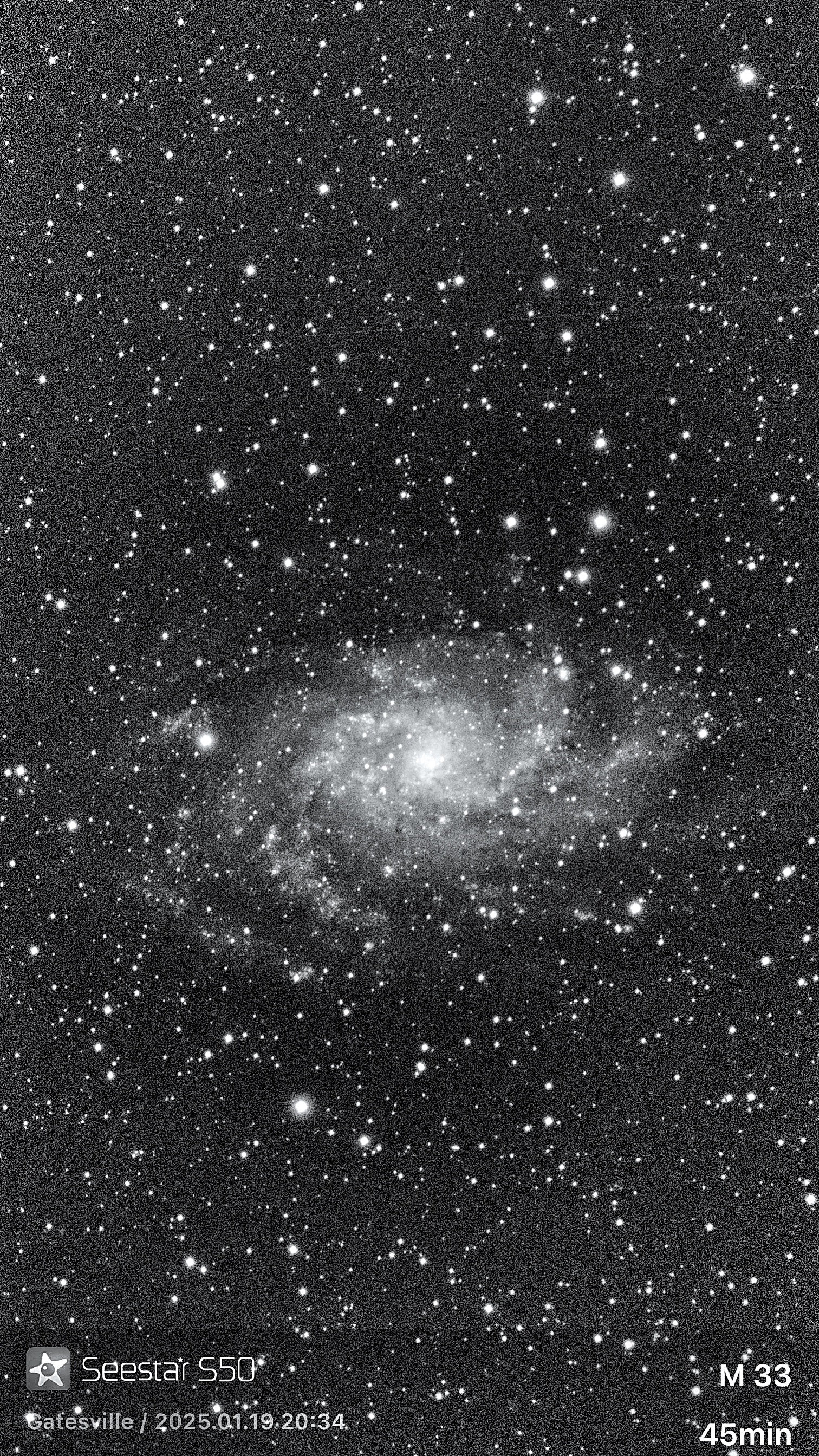Triangulum Galaxy