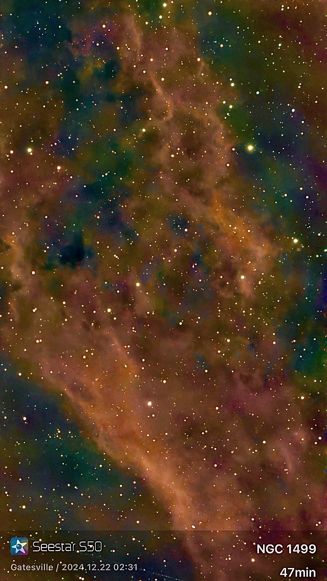 California Nebula