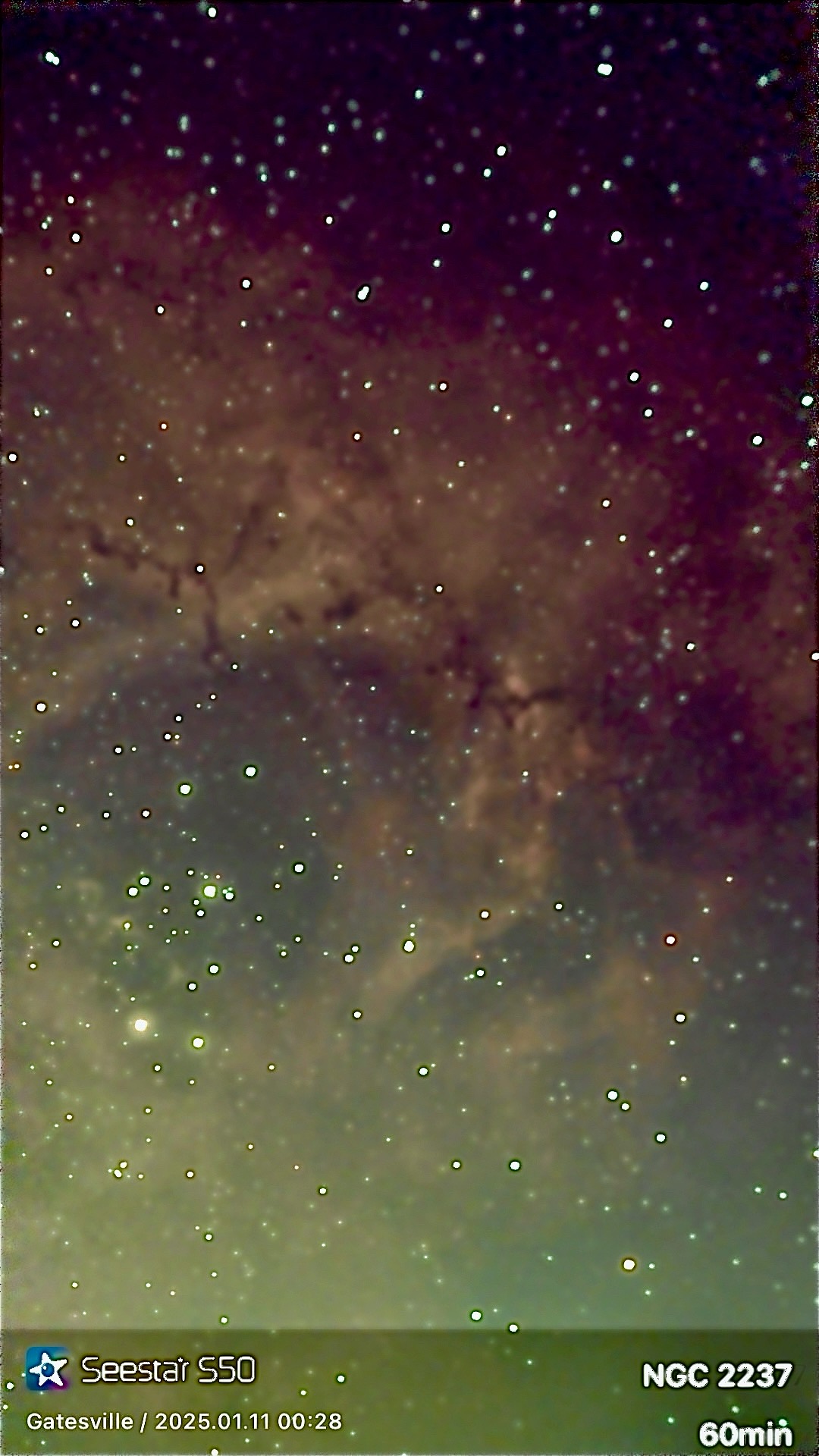 Rosette Nebula
