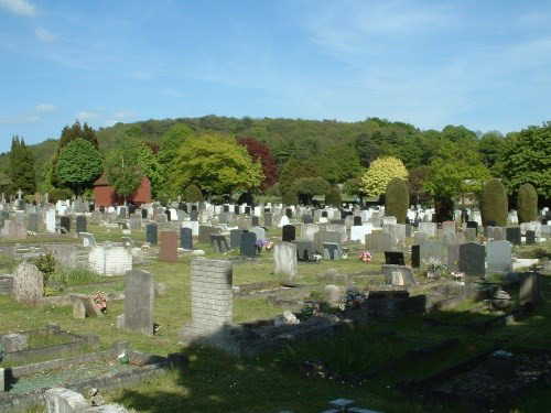 langley family - view from sand cemetery.jpg